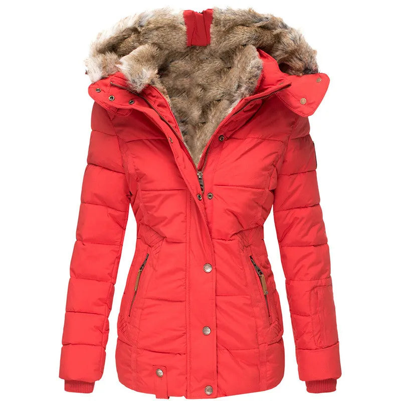 Stilvolle Damenjacke mit Kapuze für Herbst und Winter